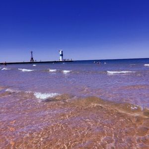 Meet your Posher, Ella